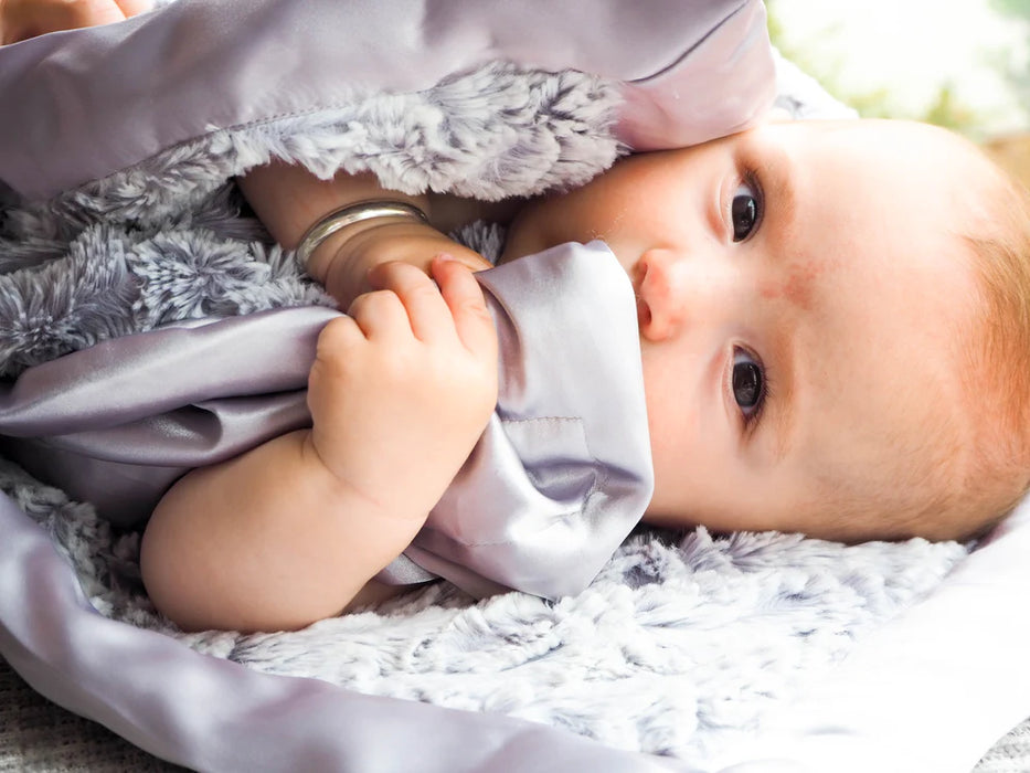 Luxe Snuggler Stroller Blanket image 1