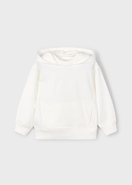 Cozy Hoodie & Washed Jogger Set