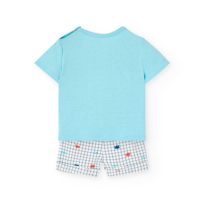 Whales & Crabs Collection image 2