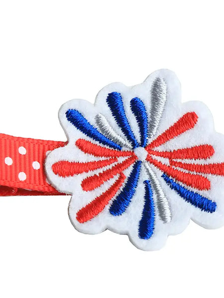 Fireworks Hair Clip image 0