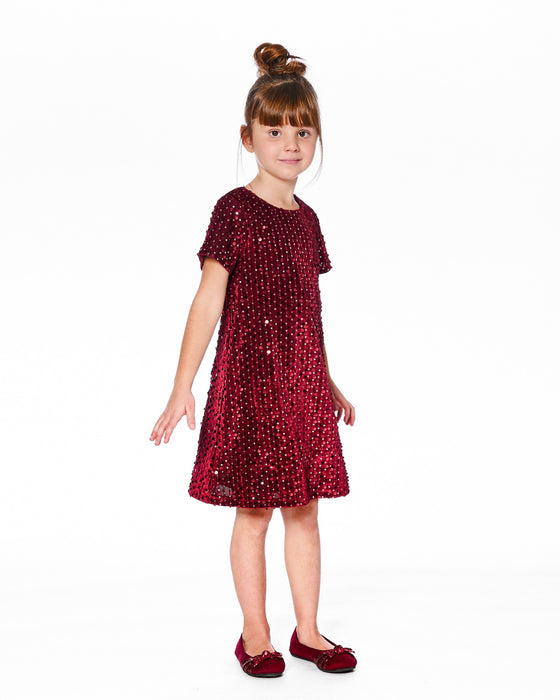 Velvet Sequin Dress - Red or Green