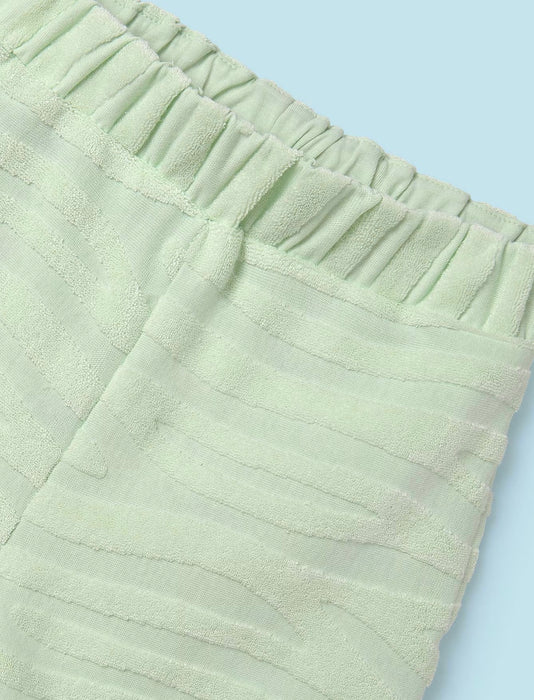 Mint Green Zebra Terry 2pc image 2