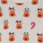 Reindeer Knit Sweater
