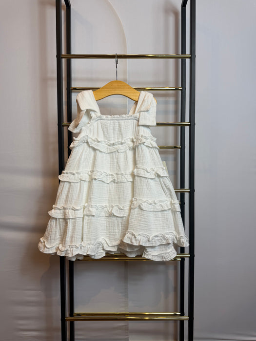Birds of a Feather Toddler Dress
