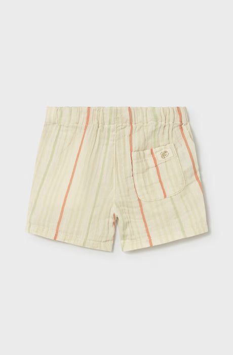 Toddler Stripe Button down & Shorts Set
