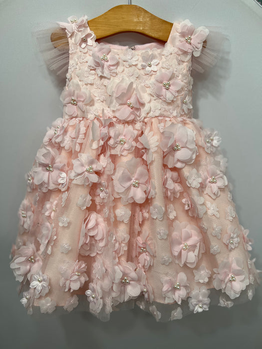 Beautiful Blooms Dress B24107