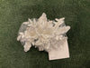 Gina Hairclip 1145 #1 2025 image 0