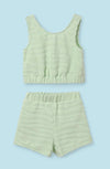 Mint Green Zebra Terry 2pc image 0