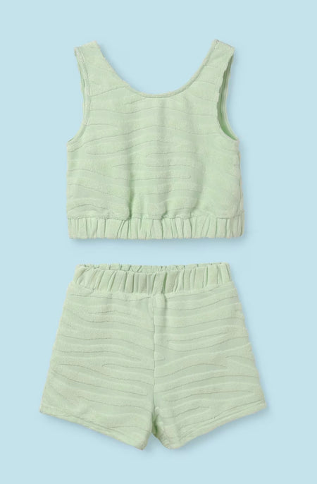 Mint Green Zebra Terry 2pc image 0