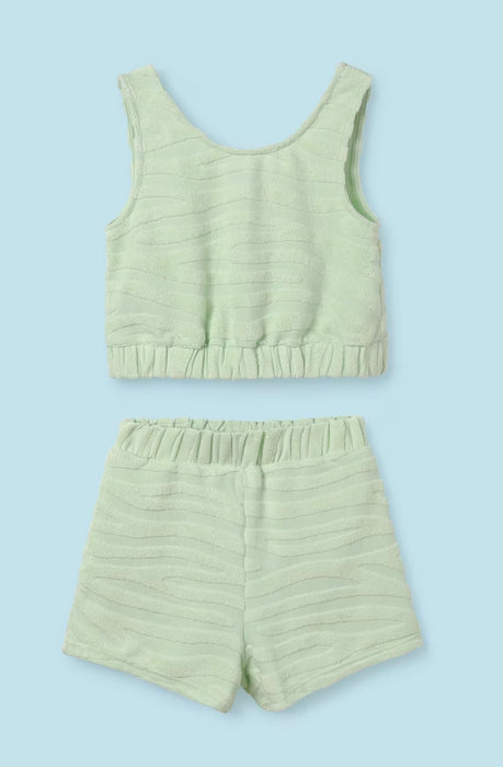 Mint Green Zebra Terry 2pc image 0