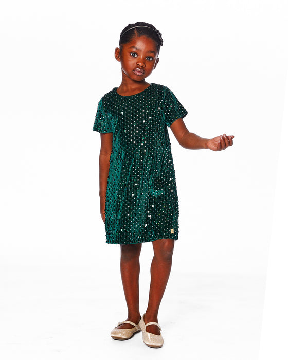 Velvet Sequin Dress - Red or Green