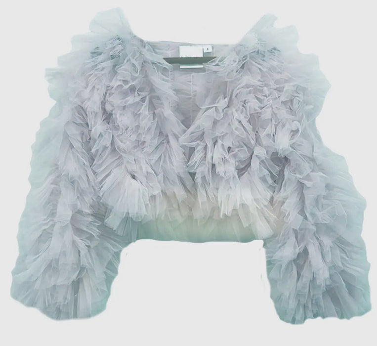 Silver Shimmer Ruffle Jacket image 0