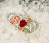 Evelyn Gown with Bonnet image 2